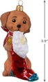 Hallmark Keepsake Christmas Ornament 2020, Adorable Dachshund, Blown Glass
