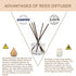 HOSSIAN 50pcs Reed Diffuser Sticks - Wood Rattan-Reed Sticks -Essential Oil Aroma Diffuser Sticks- Spa-Aromatherapy(7.5"/19cm) (Brown 7.5"/19cm)