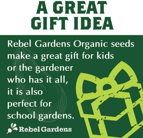 Heirloom Vegetable Seeds for Planting: 13 Varieties of Organic Non-GMO Open Pollinated Garden Seed - Weird and Rare Varieties Perfect for Kids and School Gardens