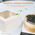 Cake Boxes 10 Inch, FEELFINE, 12pcs 10x10x5 Inches Bakery Boxes Cake Boxes with Window Cake Boards for Cakes, Cookies, Strawberries, Donuts, Muffins