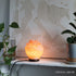 Crystal Decor Pink Himalayan Salt Lamp Bowl with Bulb and Dimmer, 100% Pure and Natural
