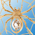 24K Gold Plated Crystal Studded Spider on Web Hanging Ornaments for Christmas Tree, Christmas Spider Miracle Traditions, Decor - The Tradition of Tinsel Legend Spider on Web Ornament