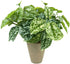 Hisow Artificial Potted Plants, 13" Faux Green Leaves Fake Plant with Natural Stone and Cement Pot Artificial Plants for Home Office Indoor and Room Decorations (A)
