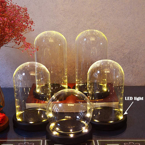 Nynelly 3.5" D X 4.7" H Clear Glass Dome Cloche with Black LED Lights Base,Glass Display Bell Jar Ornament
