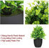LELEE Artificial Potted Plants Mini Fake Plants, 3 Pack Small Eucalyptus Potted Faux Decorative Grass Plant with Black Plastic Pot for Home Decor, Indoor, Office, Desk, Table Decoration