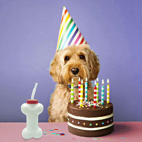 Dog Bone Cups with Straw (6 Pack) 14 oz - Paw Dog Patrol Party Supplies, Dog Birthday Party Supplies Decorations, Puppy Pals Dog Birthday Party Favors by 4E's Novelty