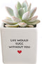 Costa Farms Mini Succulent Fully Rooted Live Indoor Plant, 2.5-Inch Echeveria, in Life Would Succ Ceramic, Great Gift