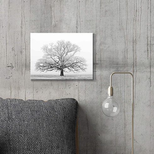 Winter Tree Canvas Print Artwork: Grey & White Landscape Print Wall Art for Bathroom (16'' x 12'')