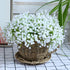 20 pcs 60 Branches White Babys Breath Flowers Bouquests Artificial Fake Gypsophila for Wedding Bridal Bouquet Garland DIY Floral Arrangement Wreath Home Office Table D©cor Centerpiece Real Touch