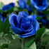 Yebazy 4PCS(30FT) Artificial Rose Vine Fake Rose Garland Artificial Flowers for Hotel Wedding Home Party Garden Decor?Royal Blue?