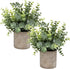 Flojery Mini Potted Plants Artificial Eucalyptus Boxwood Rosemary Greenery in Pots Faux Potted Herbs Small House Plants 8.3"-9" Tall for Indoor Greenery Tabletop Décor Centerpiece (Sprayed Eucalyptus)