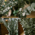 Dried Eucalyptus Branches Real 13 Pcs Preserved Eucalyptus Stems 18 inch Eucalyptus Plant Indoor for Shower Wedding Home DIY Party Restaurant Hotel Office Decoration (Green Eucalyptus)