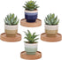 Small Floating Shelf for Wall, 4 Inch Wood Wall Shelves Display Ledges for Small Round Plant Wall Shelf Compact Style Decor Mini Hanging Display Shelves for Bathroom Livingroom Bedroom, Set of 4