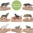 8 Pieces Wolf Toy Figurines Wolf Animal Figurines Forest Animal Figures for Kid Realistic Woodland Party Supplies Cake Toppers for Boys and Girls, 8 Styles