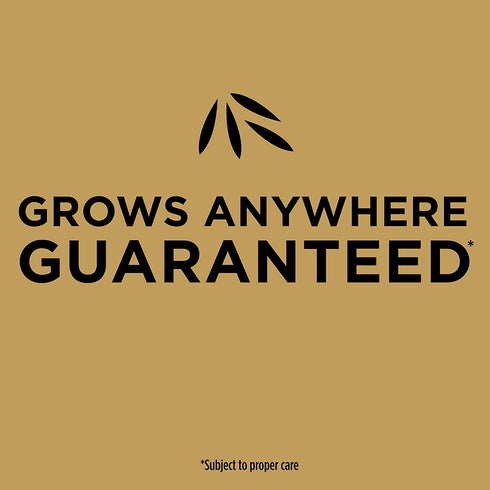 Scotts EZ Seed Patch & Repair Sun and Shade: Seeds up to 85 sq. ft., 3.75 lb., Not Available in HI, GU, PR, VI