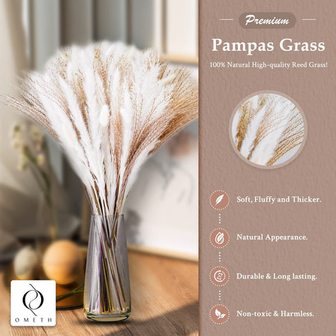 70 Pcs | 35 Pcs White Pampas & 10 Pcs White Bunny Tail & 20 Pcs Reed Grass 5 Pcs White Reed/Natural Dried Pampas Grass for Flower Arrangements Home Decor