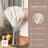 70 Pcs | 35 Pcs White Pampas & 10 Pcs White Bunny Tail & 20 Pcs Reed Grass 5 Pcs White Reed/Natural Dried Pampas Grass for Flower Arrangements Home Decor
