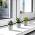 Artificial Succulents Set of 3 Mini Realistic Fake Plants with Plastic Pots for Home and Office Decoration, Including Aloe, Echeveria laui and Haworthia coarctata f. greenii, 4in (H) x 3.5in (W)