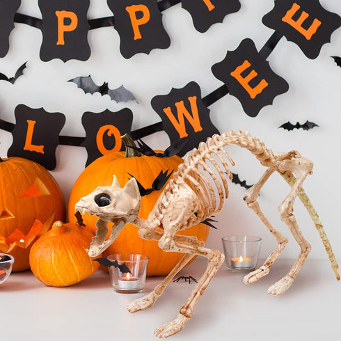 Skeleton Cat and Rat Skeleton for Halloween Decorations, Skeleton Animal Yard Decor and Reaper Bones Animals