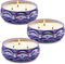 Citronella Outdoor and Indoor Candles, Large Travel Tin Vegan Wax Essential Oils Multiple Wick Candles for Summer, Pack 3