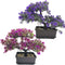 Fycooler Artificial Bonsai Tree-Fake Plant in Pot Artificial Plants,Faux Bonsai Japanese Pine Bonsai Artificial Plants for Home Decor Indoor,Office/Windowsill/Yard,Desktop Display, Zen Garden Décor