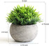 THE BLOOM TIMES 2 Pcs Fake Plants for Bathroom/Home Office Decor, Small Artificial Faux Greenery for House Decorations (Potted Plants)