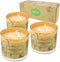 Citronella Candles Outdoor Indoor, 3 Pack 14.6 Oz Large 3 Wick Scented Jar Candles Set Aromatherapy Long Lasting Soy Wax for Summer Home Garden Patio Balcony