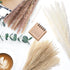 Ritattas Natural Dried Pampas Grass, 60 Pcs Pampas Grass with 20 Pcs White Pampas & 20 Pcs Brown Pampas & 20 Pcs Fluffy Reed Grass for Flower Arrangement Home Decor Wedding Boho Decor