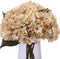 Kimura's Cabin White Silk Hydrangea Flowers Bouquets Faux Hydrangea Stems 3Pcs for Home Wedding Party Table Core Decoration (Ivory)
