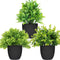 LELEE Artificial Potted Plants Mini Fake Plants, 3 Pack Small Eucalyptus Potted Faux Decorative Grass Plant with Black Plastic Pot for Home Decor, Indoor, Office, Desk, Table Decoration