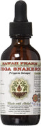 Senega Snakeroot Alcohol-Free Liquid Extract, Senega Snakeroot (Polygala Senega) Dried Root Glycerite Natural Herbal Supplement, Hawaii Pharm, USA 2 fl.oz