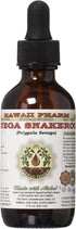 Senega Snakeroot Alcohol-Free Liquid Extract, Senega Snakeroot (Polygala Senega) Dried Root Glycerite Natural Herbal Supplement, Hawaii Pharm, USA 2 fl.oz
