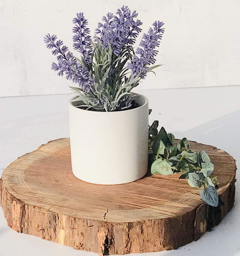 Kurrajong farmhouse Fake Lavender Artificial Plant | Artificial Lavender in White Pot | Realistic Faux Lavender Plant | Stunning Lavender Faux Plants Indoor | Lavender Decor | Fake Lavender Plant