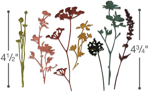 Sizzix 661190 Wildflowers Thinlits Die Set by Tim Holtz (7/Pack)
