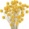 Uieke 30Pcs Natural Dried Flowers Craspedia Billy Balls Flowers Billy Buttons Floral Bouquet for Flower Arrangements Wedding Home Tall Vase Decor Yellow