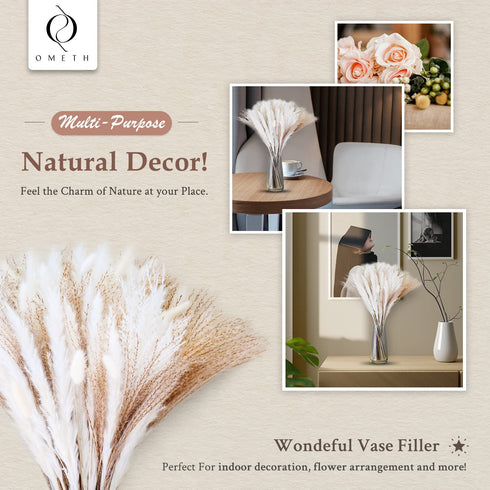 70 Pcs | 35 Pcs White Pampas & 10 Pcs White Bunny Tail & 20 Pcs Reed Grass 5 Pcs White Reed/Natural Dried Pampas Grass for Flower Arrangements Home Decor