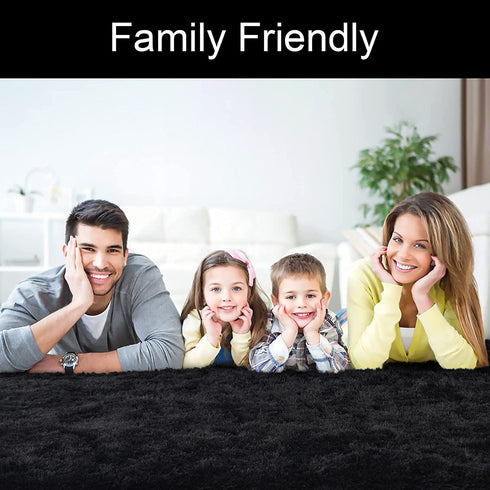 DETUM Soft Bedroom Area Rugs, Fluffy Fur Rug for Living Room Kids Room Nursery Room Mat, Shaggy Plush Carpet for Indoor Floor, Modern Home Decor, 4 x 6 Feet, Black