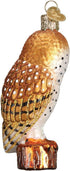 Old World Christmas Ornaments: Owls Glass Blown Ornaments for Christmas Tree, 3 x 3