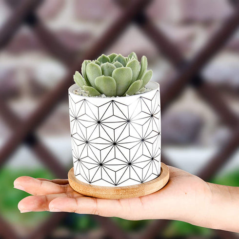 Succulent Pots, ZOUTOG 3 inch Ceramic Mini Succulent Planter Pot, Geometric Pattern Round Small Flower Pots with Drainage and Bamboo Tray, Pack of 6 - Plants Not Included