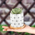 Succulent Pots, ZOUTOG 3 inch Ceramic Mini Succulent Planter Pot, Geometric Pattern Round Small Flower Pots with Drainage and Bamboo Tray, Pack of 6 - Plants Not Included