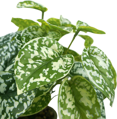 Hisow Artificial Potted Plants, 13" Faux Green Leaves Fake Plant with Natural Stone and Cement Pot Artificial Plants for Home Office Indoor and Room Decorations (A)