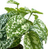 Hisow Artificial Potted Plants, 13" Faux Green Leaves Fake Plant with Natural Stone and Cement Pot Artificial Plants for Home Office Indoor and Room Decorations (A)