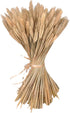 yarlung 300 Stems 16 Inch Dried Wheat Sheaves, Natural Wheat Stalks Bundle Fall Arrangement for DIY Craft, Home Table, Wedding