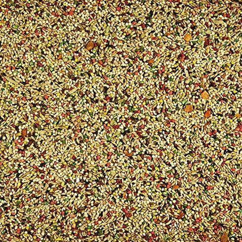 Kaytee Fiesta Tropical Fruit Parakeet Treat, 11-Oz Jar