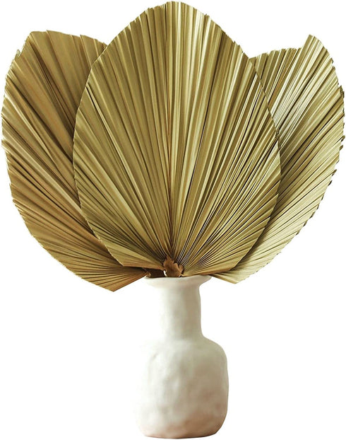 Natural Large Dried Palm Leaves-3 Pcs 17.7 Inch Dried Palm Spears Plant for Boho Style Art Wall Hanging Ornament | Neutral Home House Decor | Wedding Decor | Party Decoration | Flower and Leaf Decor