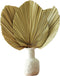 Natural Large Dried Palm Leaves-3 Pcs 17.7 Inch Dried Palm Spears Plant for Boho Style Art Wall Hanging Ornament | Neutral Home House Decor | Wedding Decor | Party Decoration | Flower and Leaf Decor