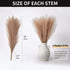 JOMAKIE Pampas Grass,Faux Pampas Grass18'',6 Pcs Pompass Grass Branches Small,Fluffy Pampas Grass Decor for Vase Fillers, Home,Office,Wedding and Events Decor (Light Curry)