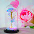 Birthday Gifts for Women,Gifts for Mom from Daughter, Eternal Glass Flowers Gift, Galaxy Flower Roses in Glass Dome,Unique Gifts is for Girlfriend?Christmas? Anniversary,Valentine's Day