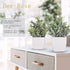 Der Rose 6 Packs Fake Plants Small Artificial Plants for Modern Farmhouse Decor