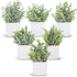 Der Rose 6 Packs Fake Plants Small Artificial Plants for Modern Farmhouse Decor